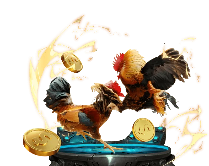 Hỗ trợ chat trực tuyến 24/7